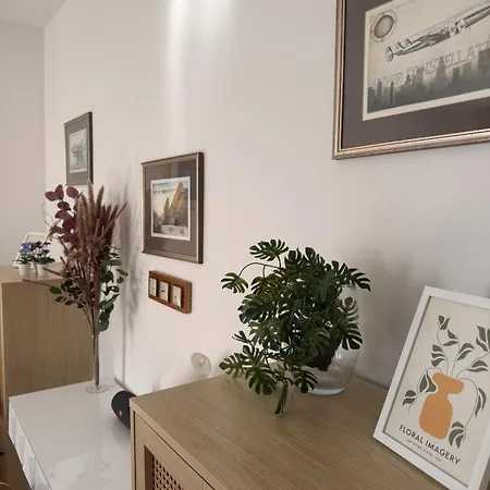 Apartment Stilvolles 3 Zi Im Musikerviertel *