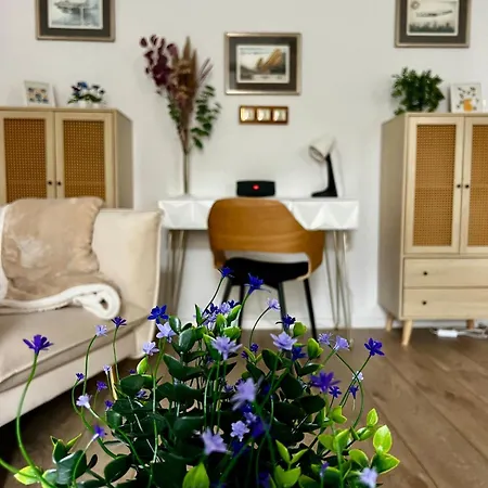 Apartment Stilvolles 3 Zi Im Musikerviertel *