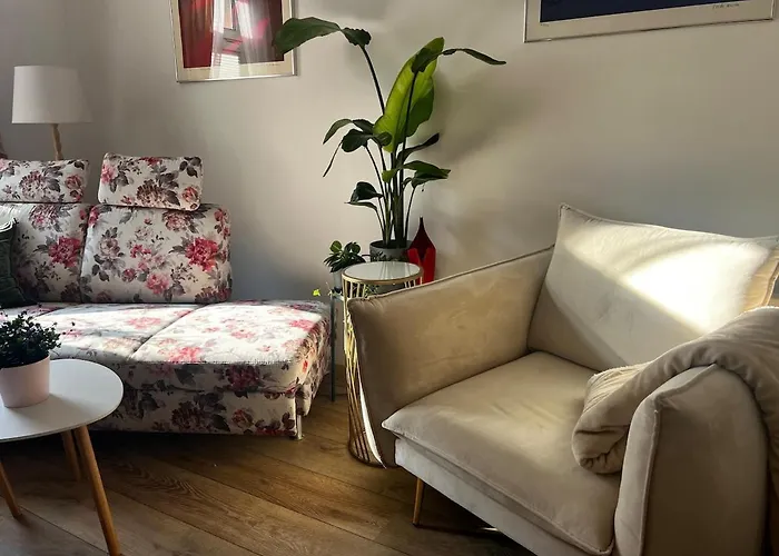 Apartment Stilvolles 3 Zi Im Musikerviertel *