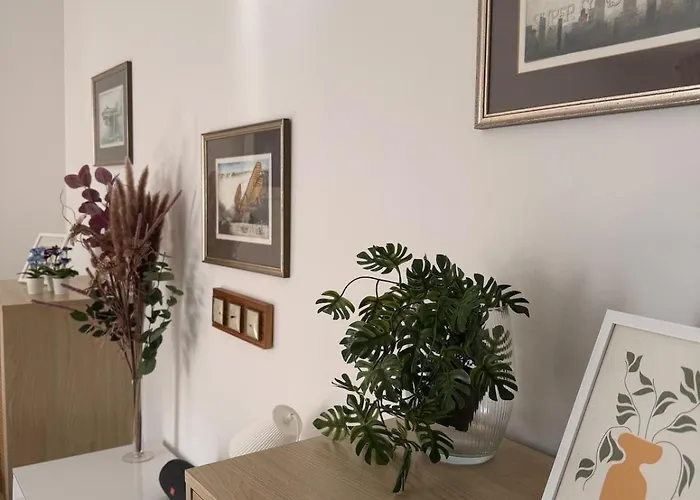 Apartment Stilvolles 3 Zi Im Musikerviertel *