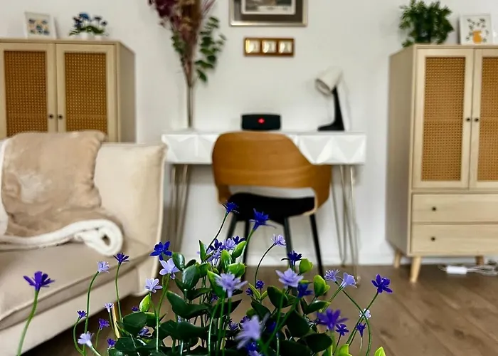 Apartment Stilvolles 3 Zi Im Musikerviertel *